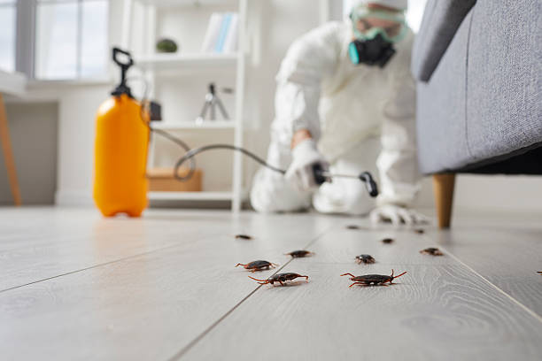Trusted Rodent Control service in Wilber, NE - Nex Pest Control